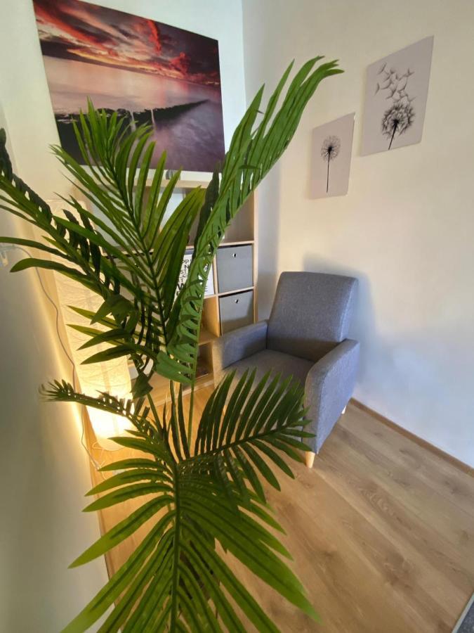 Apartment Dora 자다르 외부 사진